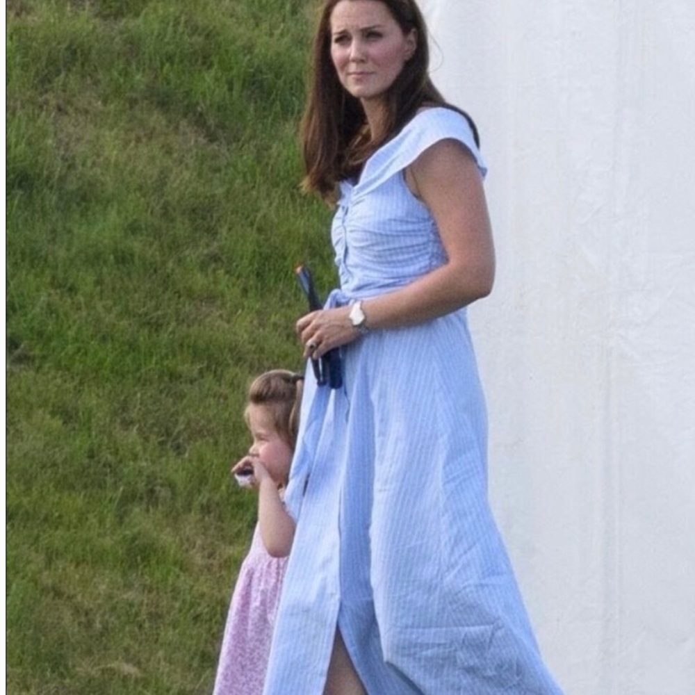Zara Blue and White Sleeveless Maxi Sundress